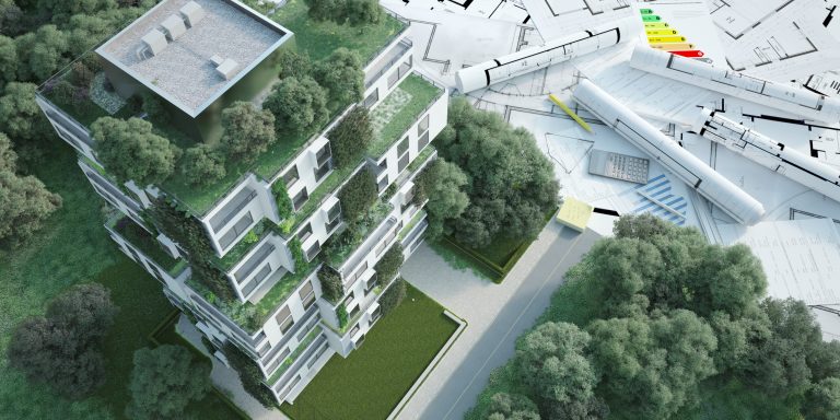 Environmental Project Management